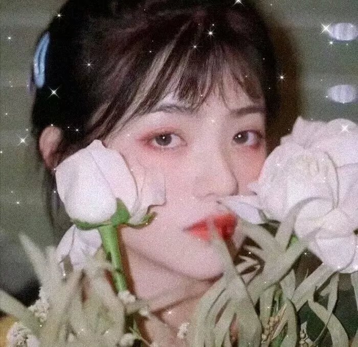 西部世界第一季